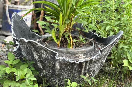 Flower Sleep Planter 2