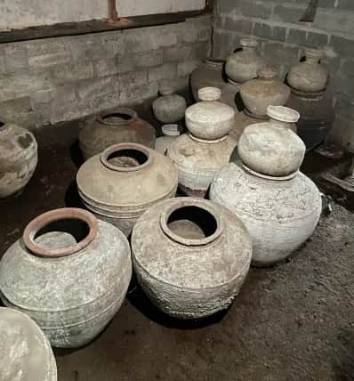 Collection 21