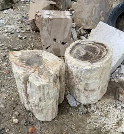 Furniture 20