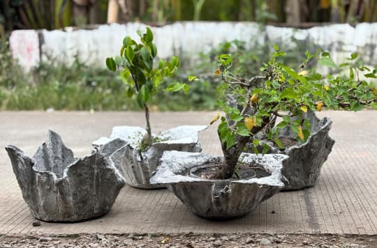 Flower Sleep Planter 1