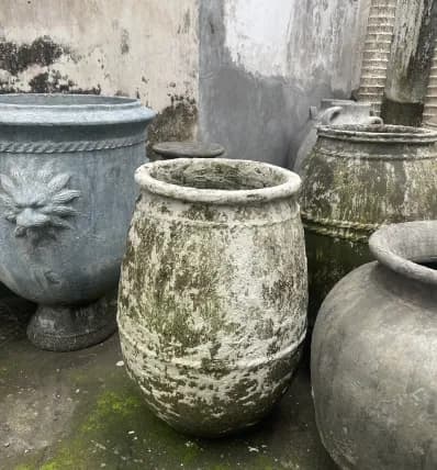 Collection 20