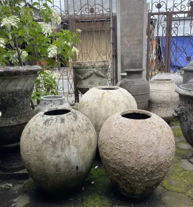 Collection 23