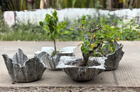 Flower Sleep Planter 1
