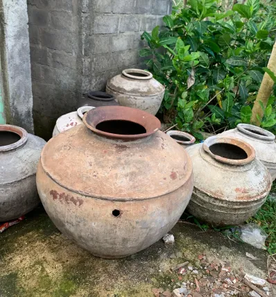 Collection 19
