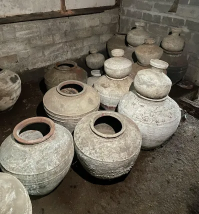 Collection 21