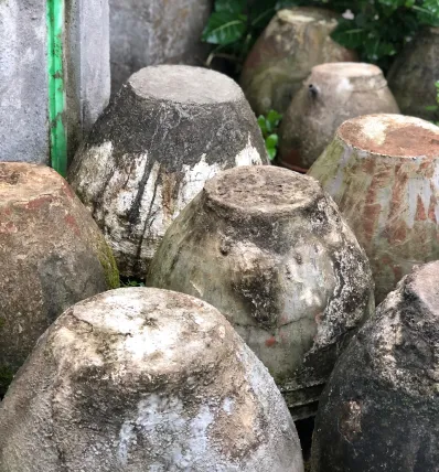 Collection 5