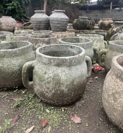 Collection 19