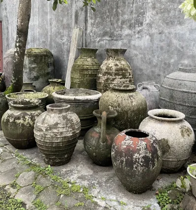 Collection 21