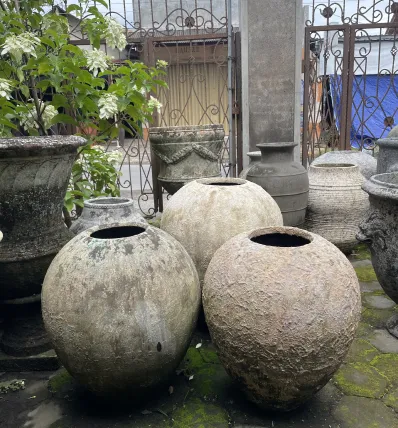 Collection 23