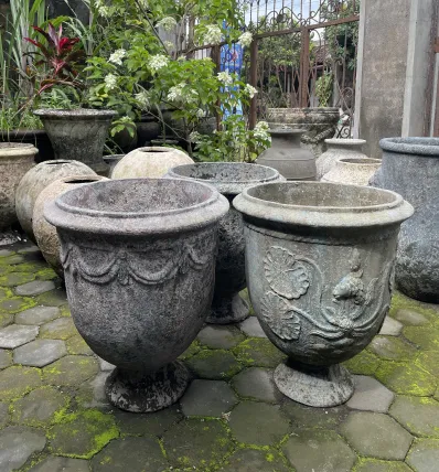 Collection 24